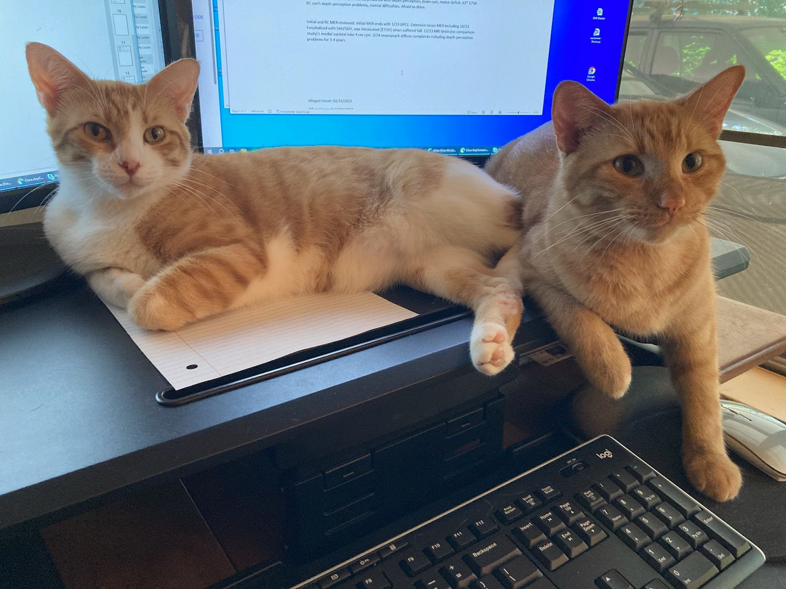 click for larger size