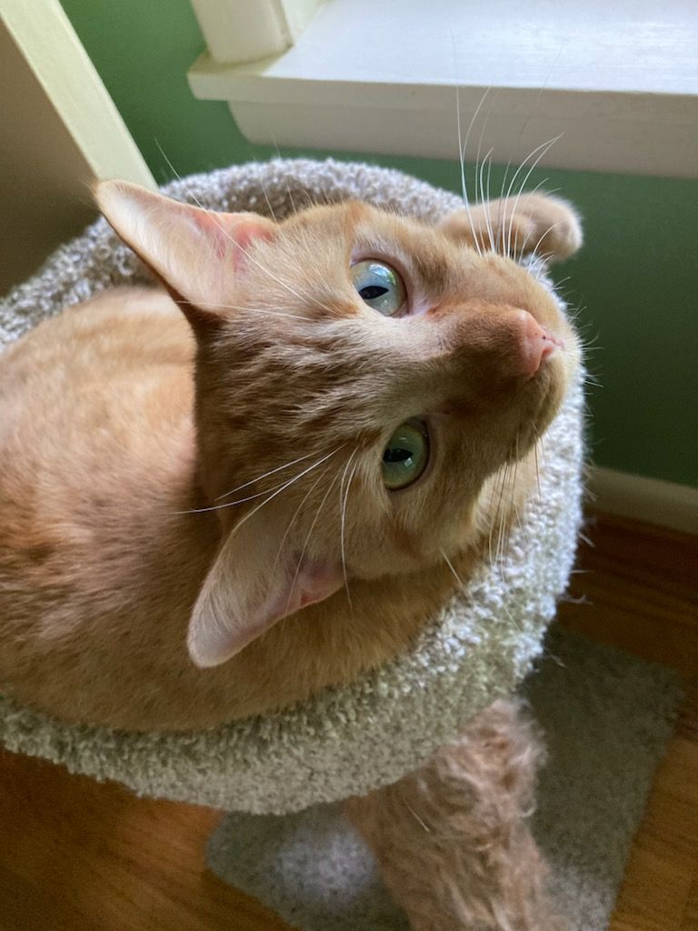 click for larger size