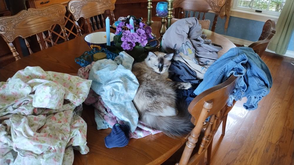 click for larger size