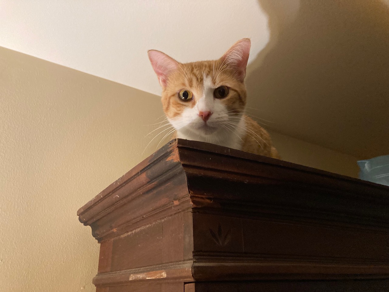 click for larger size