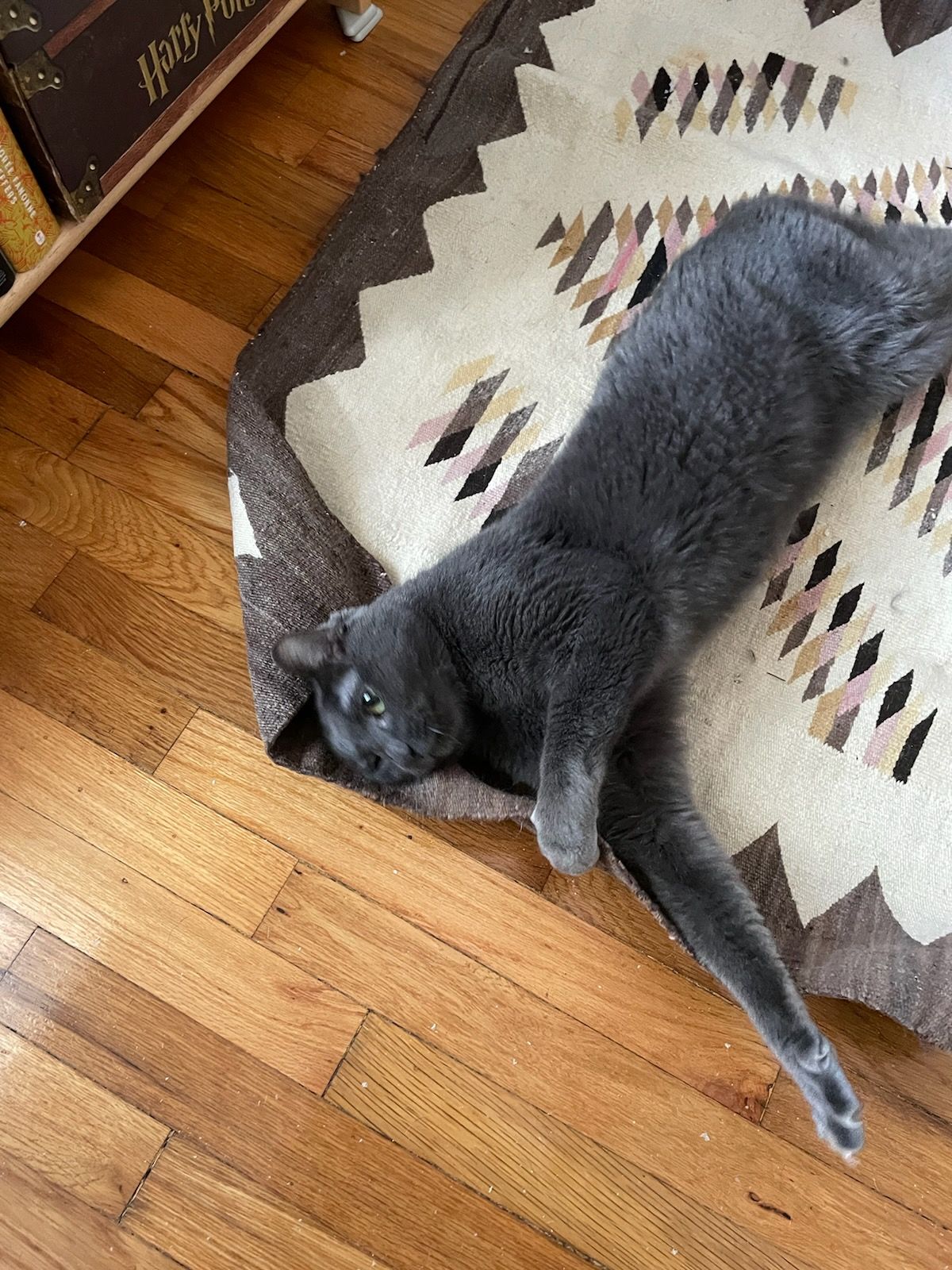 click for larger size