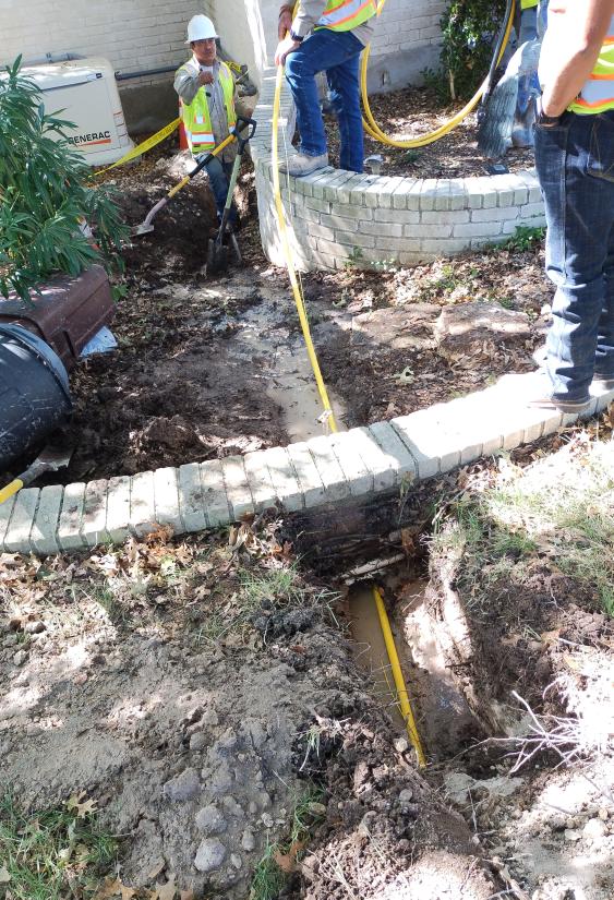 click for larger size