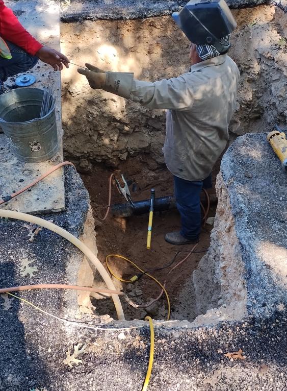 click for larger size