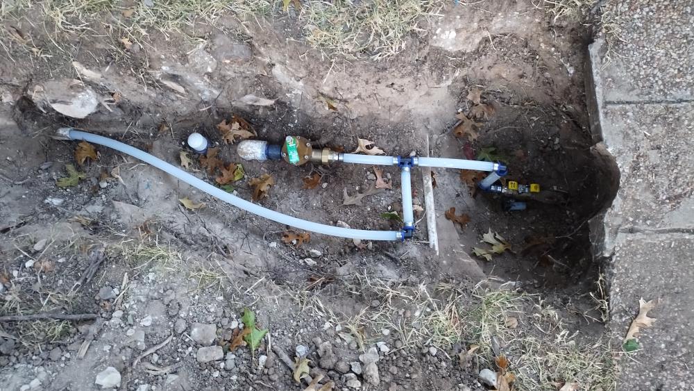 click for larger size