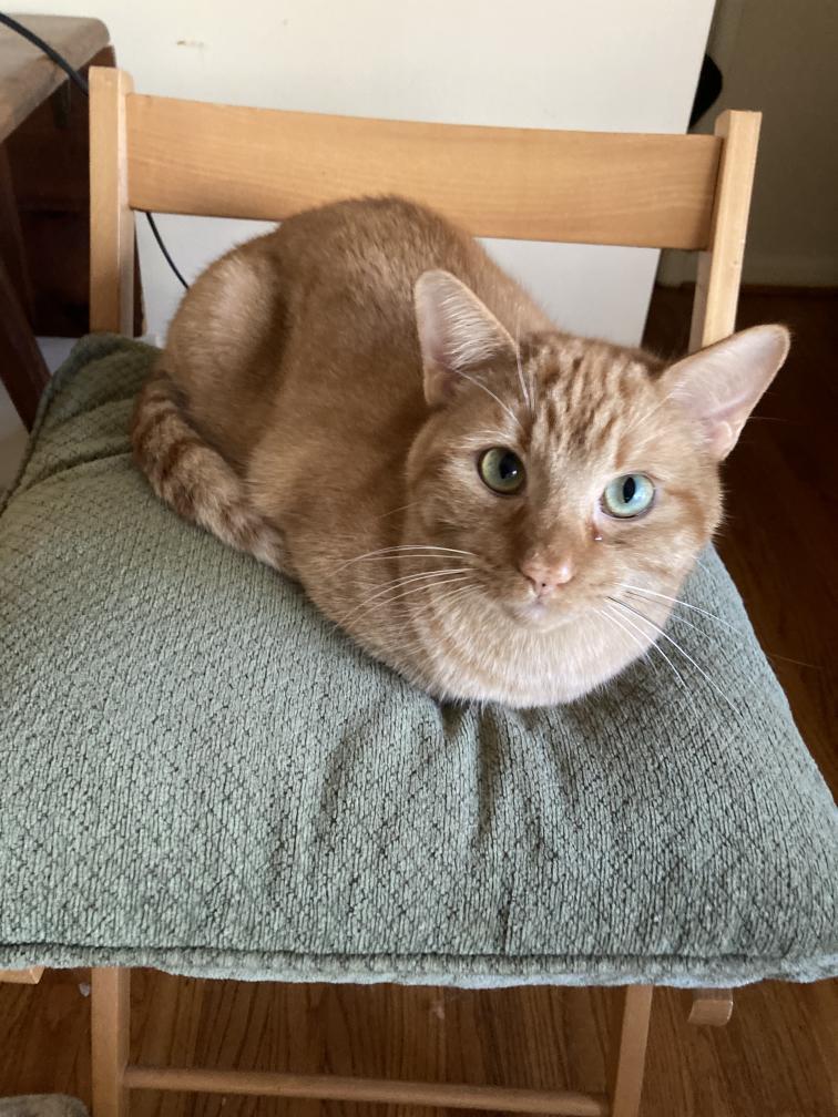 click for larger size