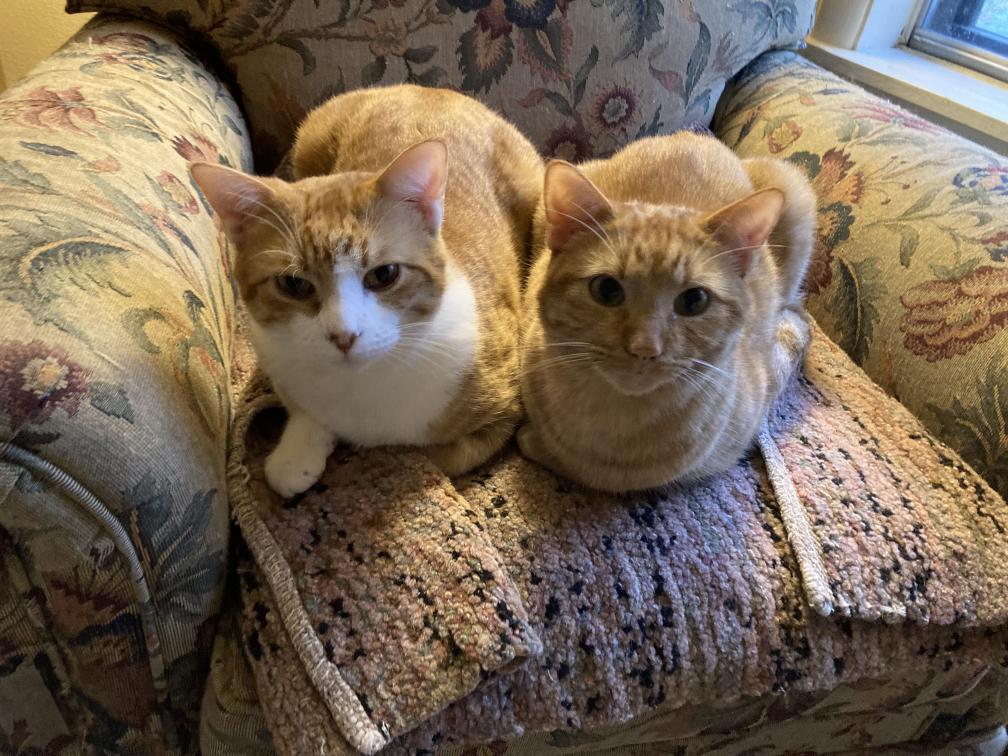 click for larger size