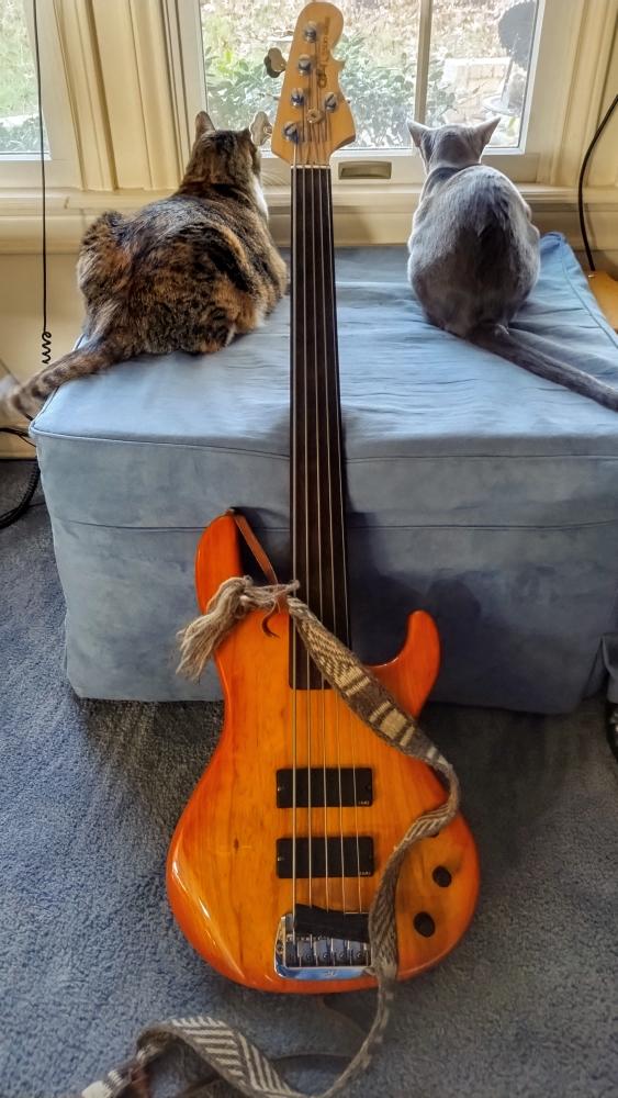 click for larger size