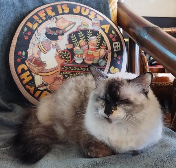 click for larger size