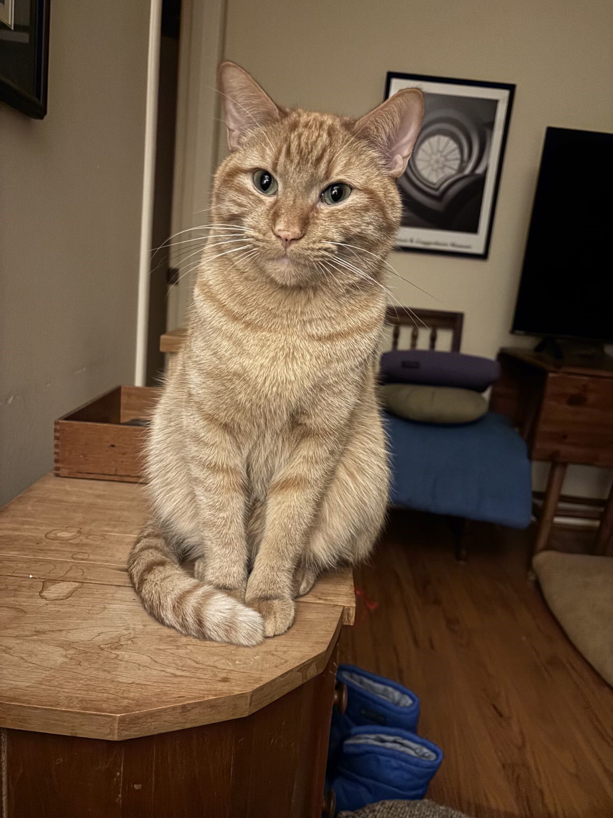 click for larger size