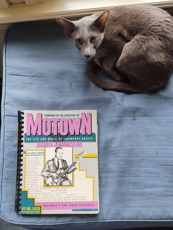 click for larger size