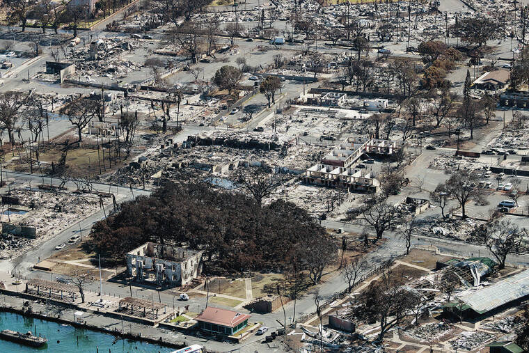 click for larger size