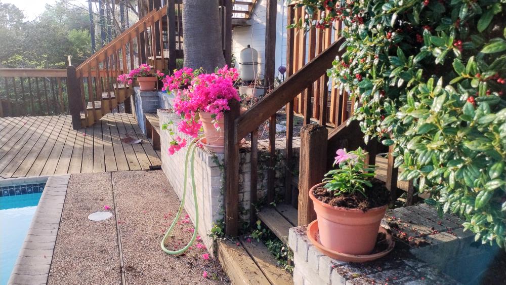 click for larger size