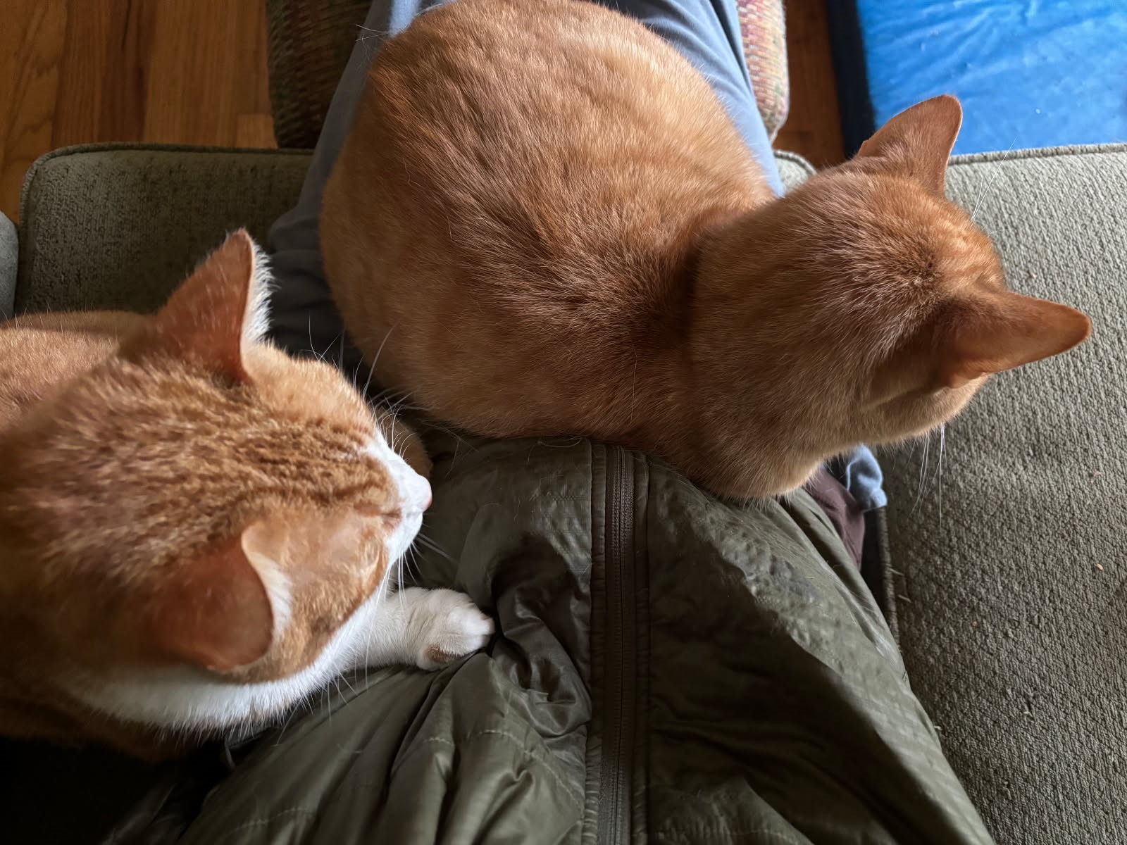 click for larger size