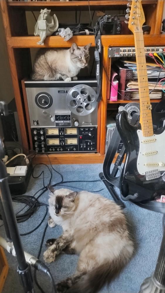 click for larger size