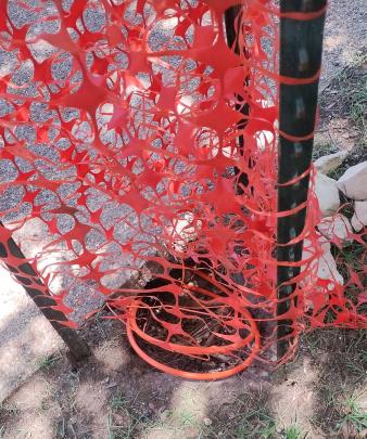 click for larger size