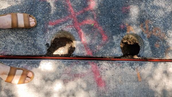 click for larger size