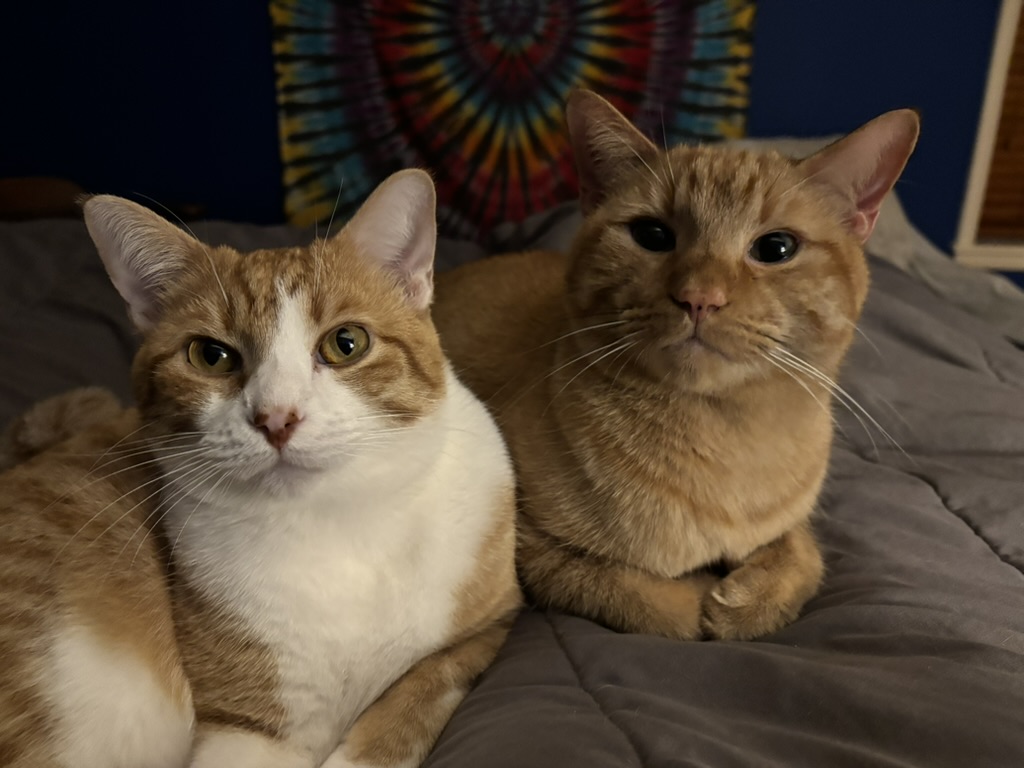 click for larger size