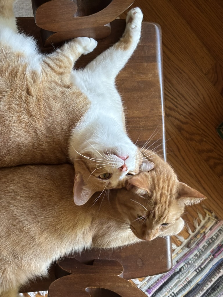 click for larger size