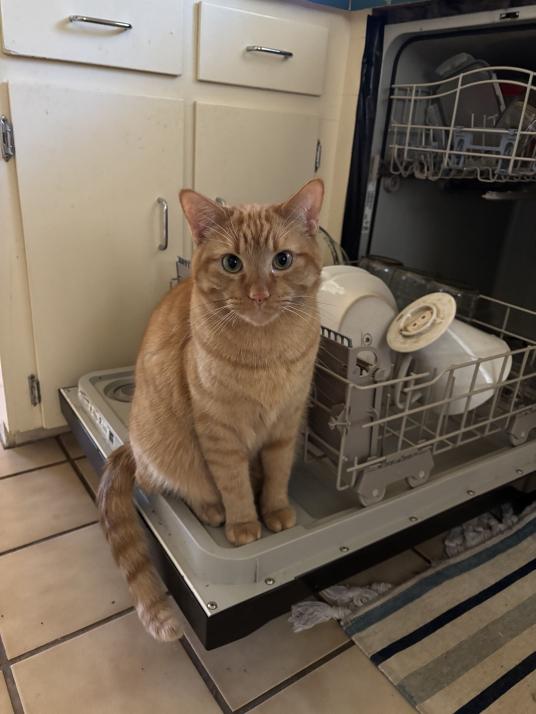 click for larger size