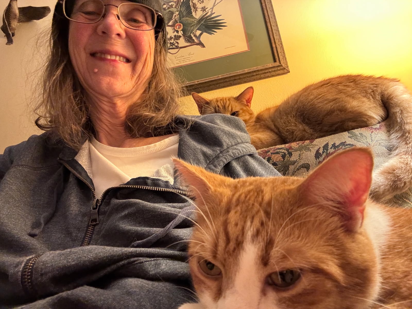 click for larger size