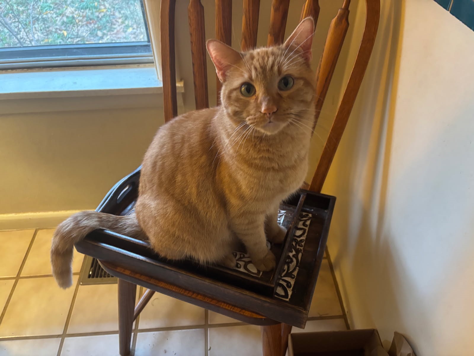 click for larger size