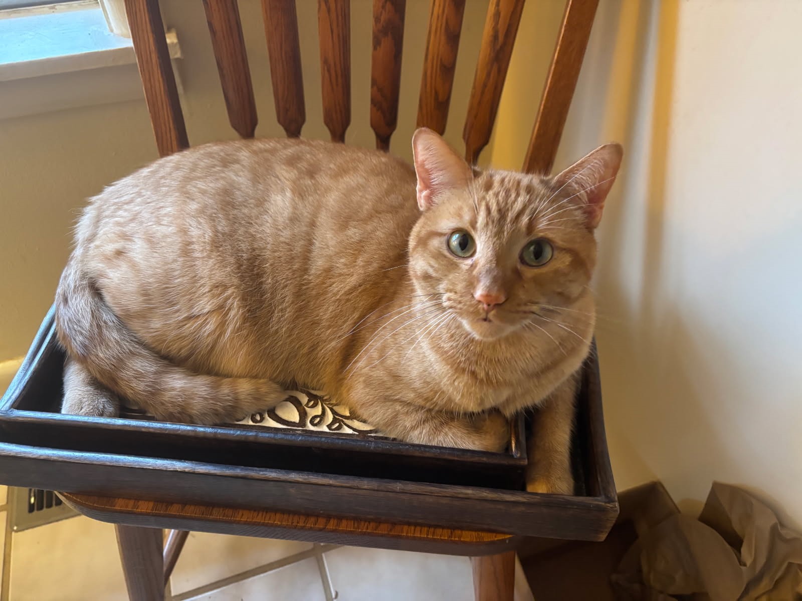 click for larger size