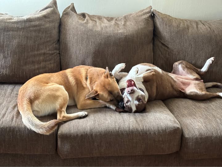 click for larger size