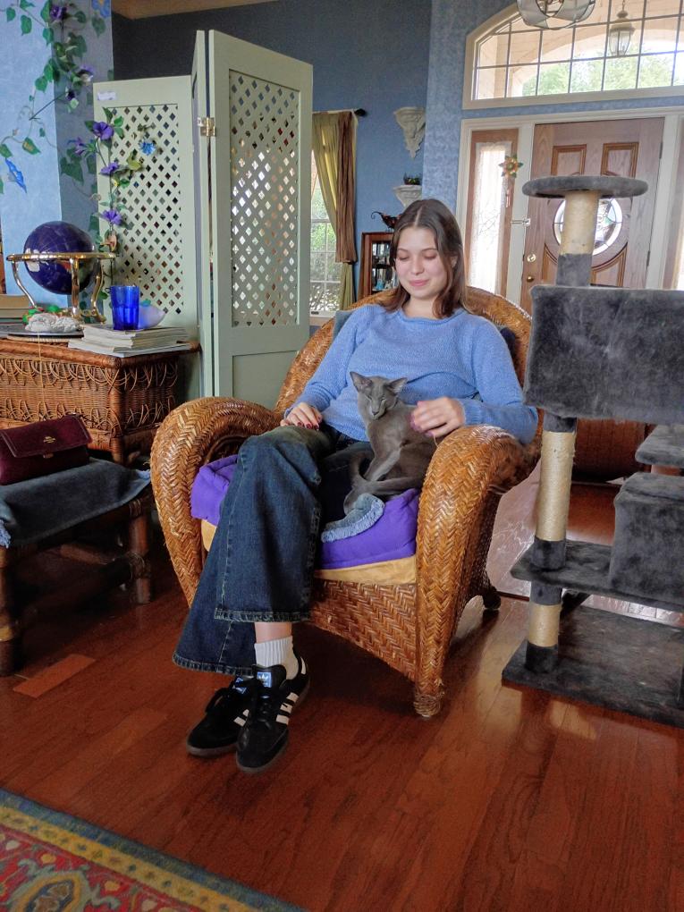 click for larger size