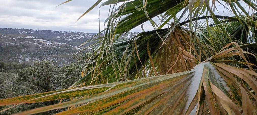 click for larger size