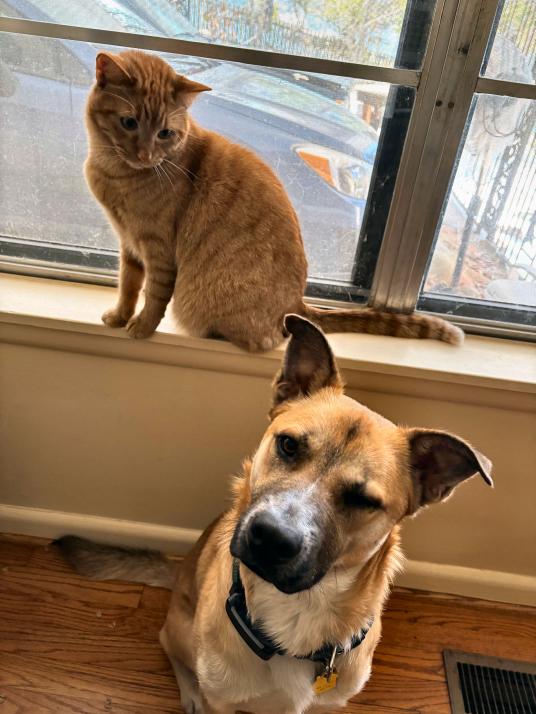 click for larger size