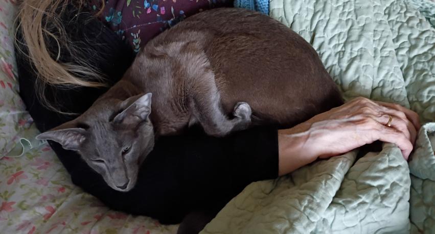 click for larger size