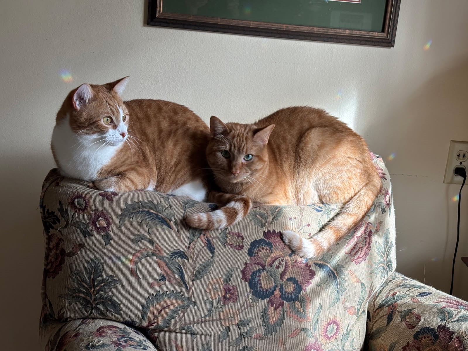 click for larger size