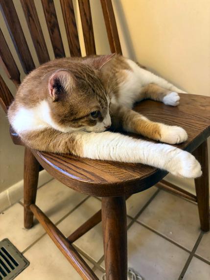 click for larger size